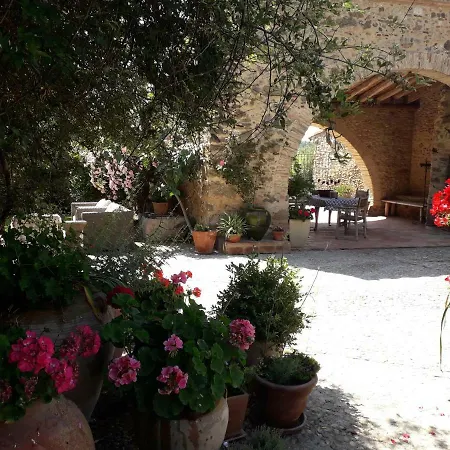 Carbó De Les Olives *