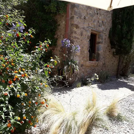 Carbó De Les Olives *